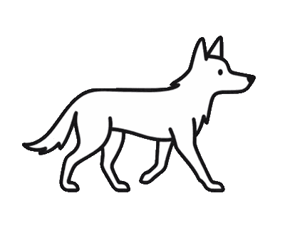 Walking dog